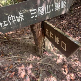 分岐到着　鏡峠まで行きます