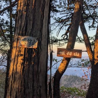こっちにも帳付山山頂標識。

こちらのほうが眺めが良いかな