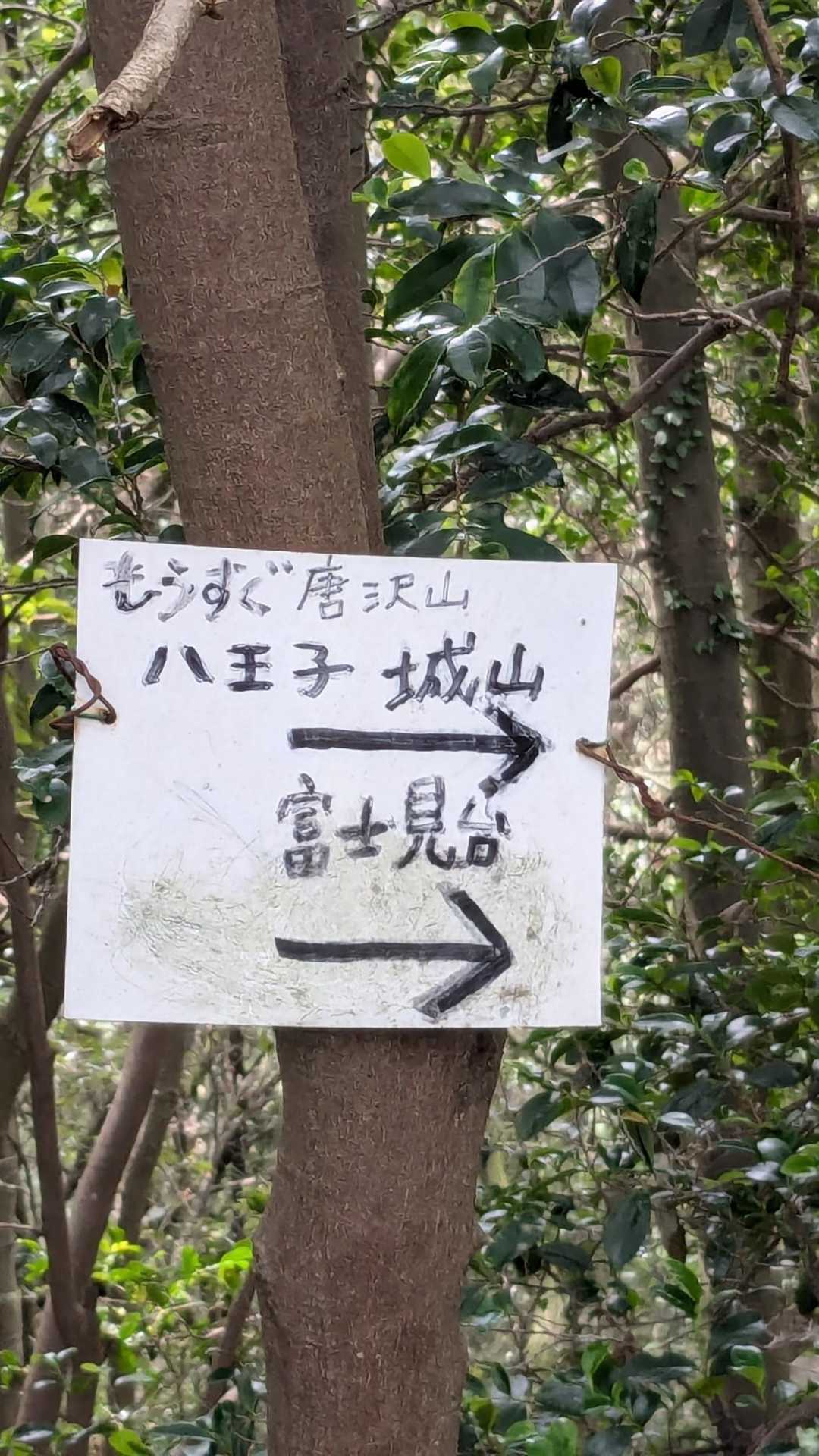 もうすぐだって🎶頑張ろう💪
「もうすぐ」の言葉に弱くて
