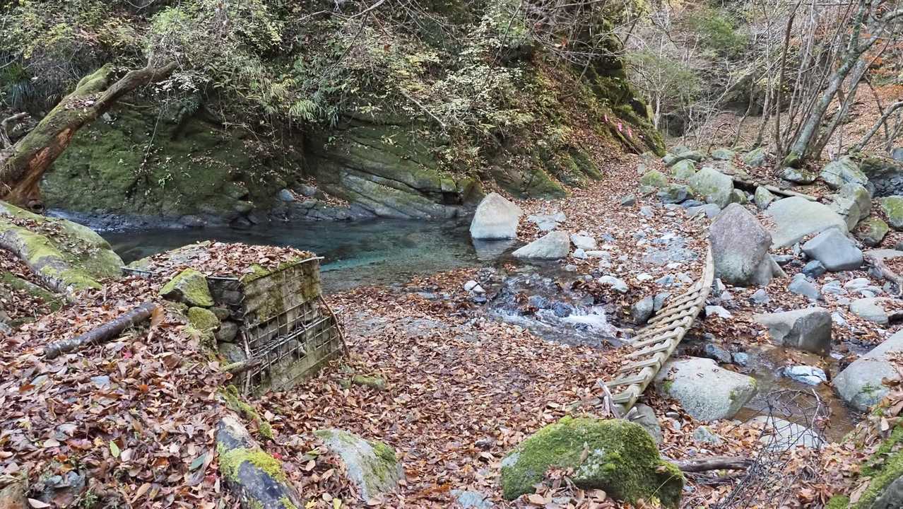 西丹沢縦走（西丹沢VC〜犬越路〜檜洞丸〜箒沢橋） の写真 7