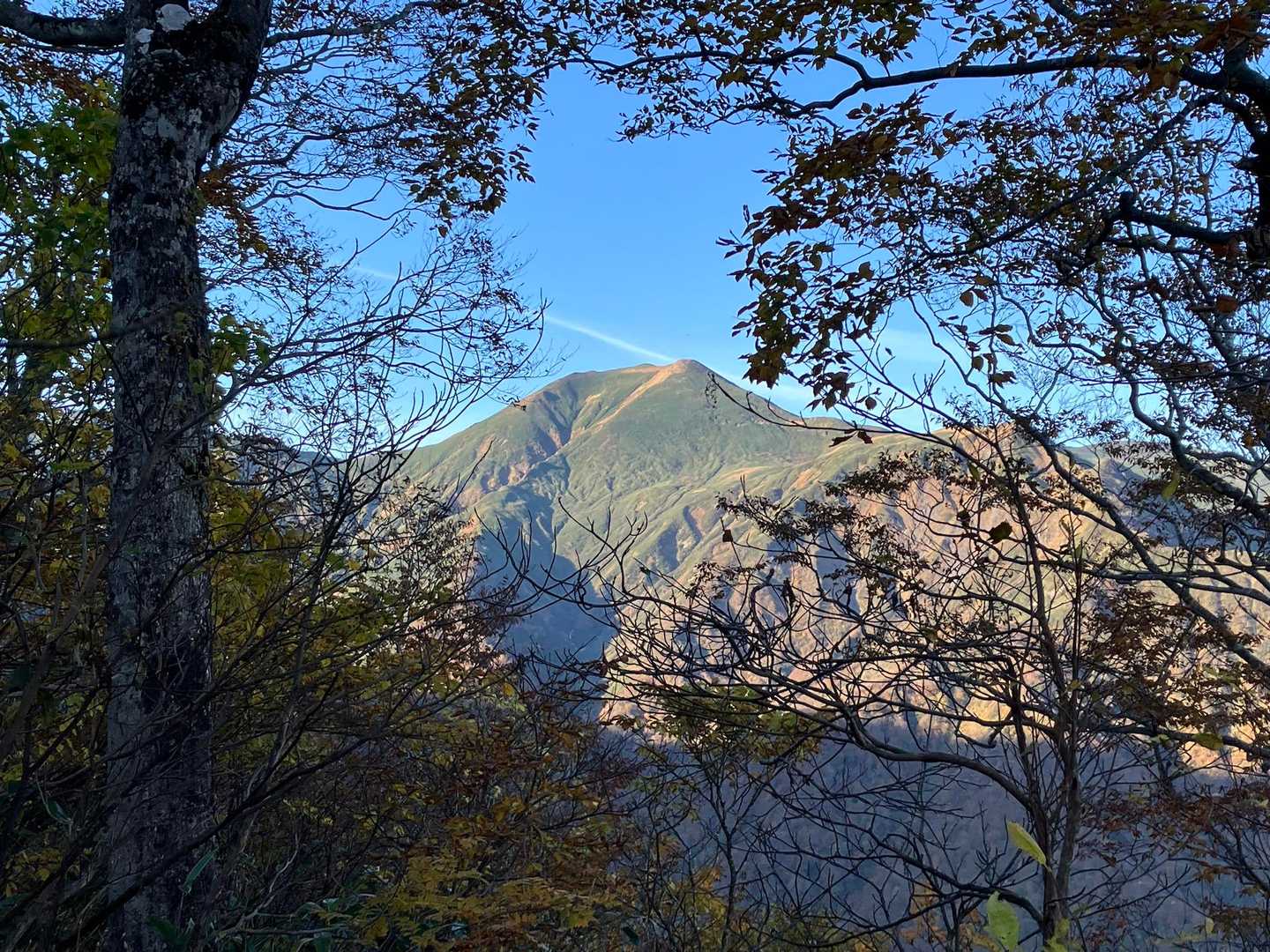仙ノ倉岳かな