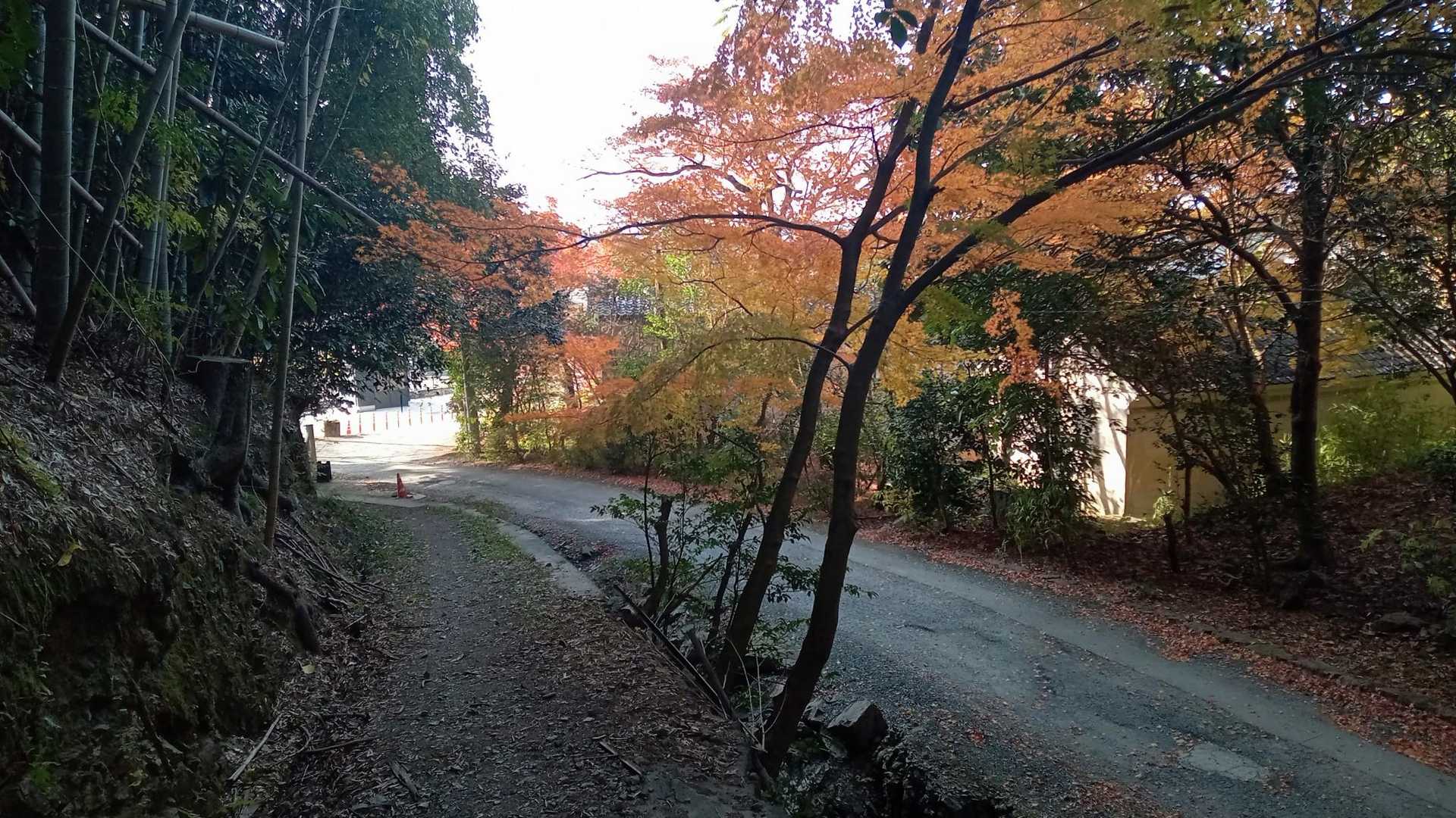 下山！女山、第3弾でした🧑‍🦲