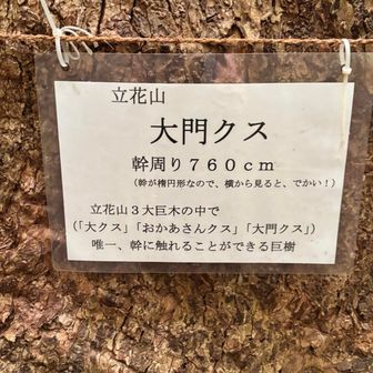 パワー貰いました👍