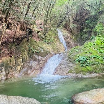 写真映えしない五階滝
現場で見ると今日は水量多くて豪快！