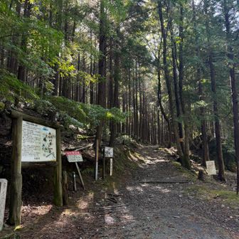 剣尾山登山道入口から登って行きますよー😊