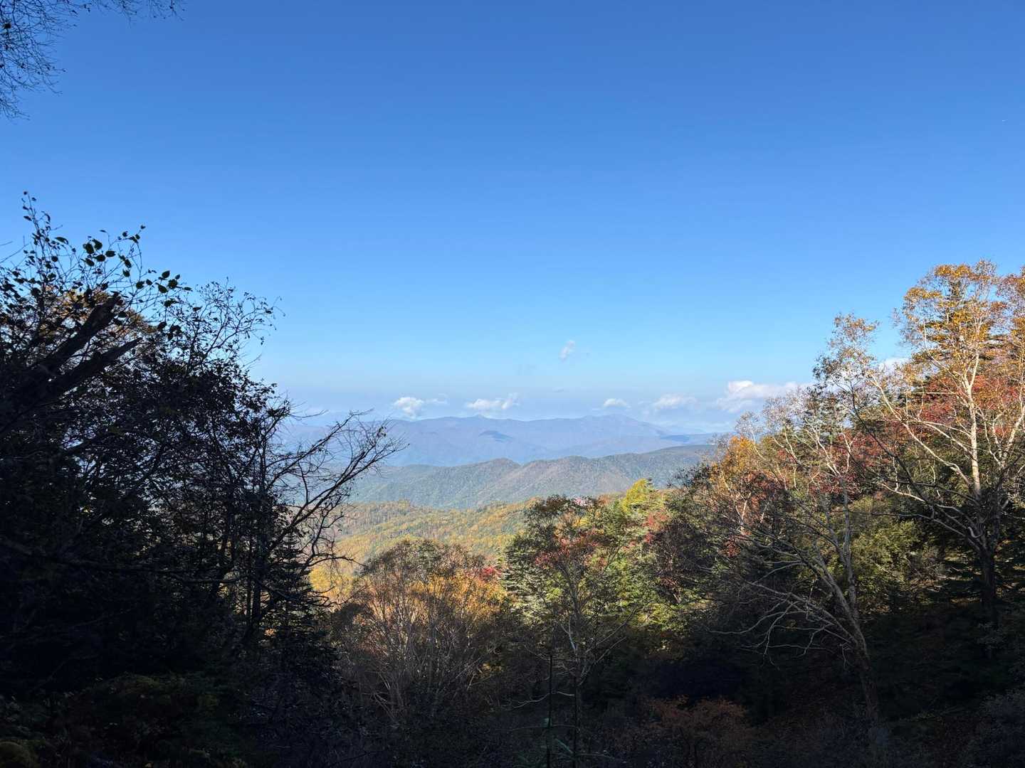 山頂駅-日光白根山-五色沼-弥陀ヶ池 周回コースの写真