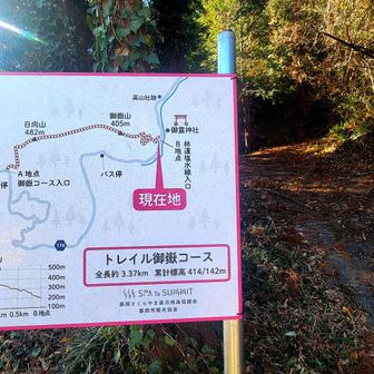 登山口。トレランコースになってる？