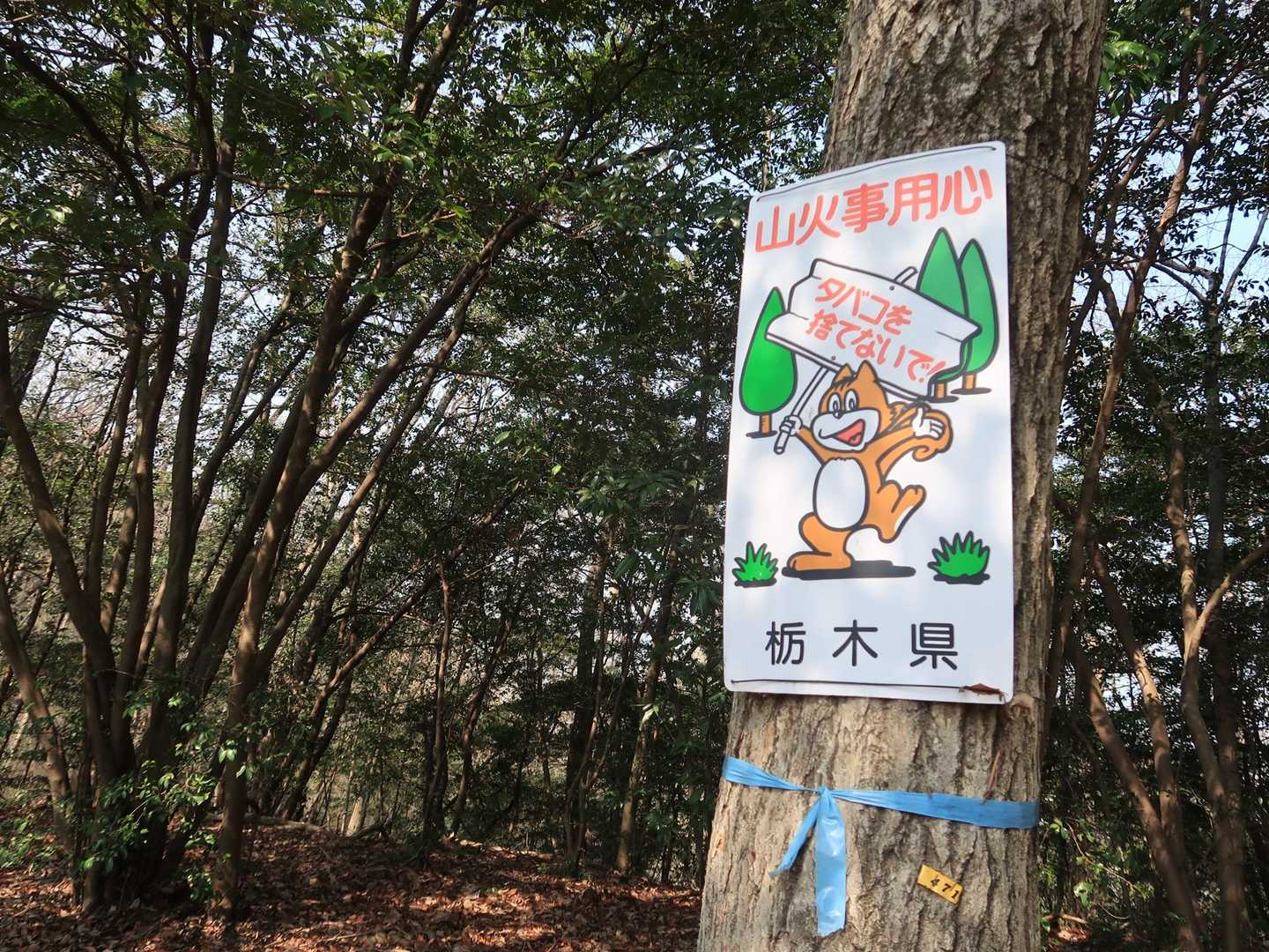 みかも山公園西口登山口-三毳山-中岳 周回コースの写真