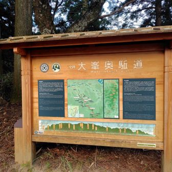 大峯奥駈道の標識が