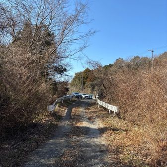 車は増えてましたが…
行きも帰りも誰とも会いませんでした😅