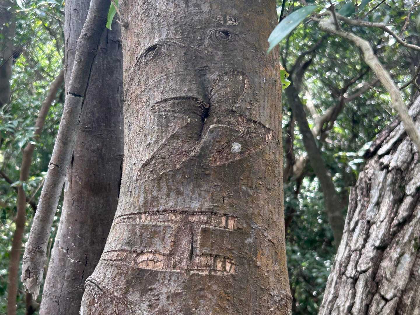 遠い目をした
「ヤエ」さん健在((´∀｀*))