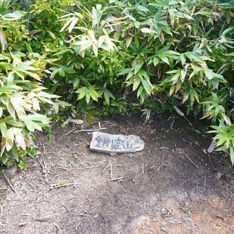 頭に中は付かないのね🧐