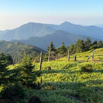 南には
仏生嶽と釈迦ヶ岳✨