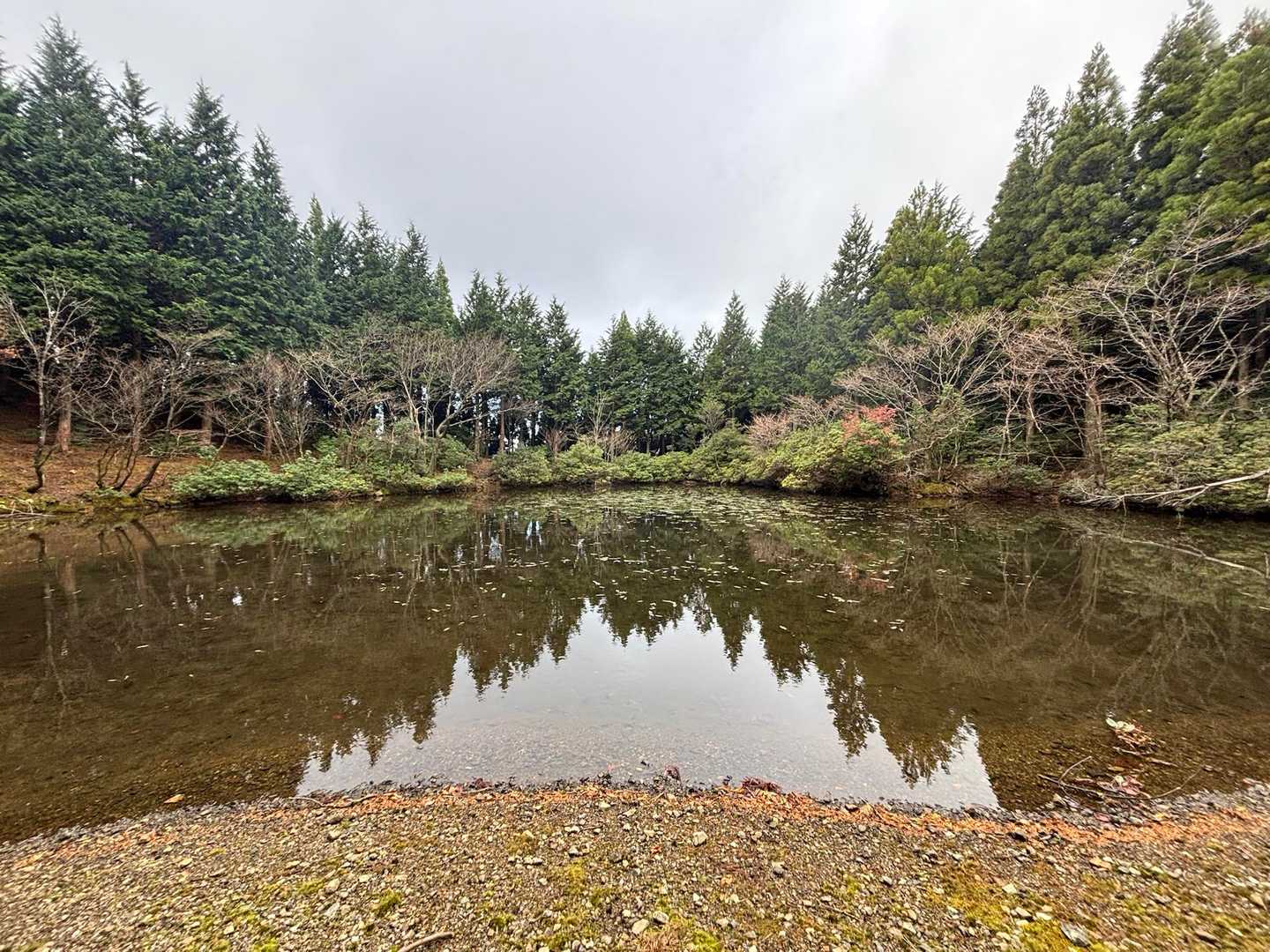 このリフレクションが見たかった🥹⟡.·