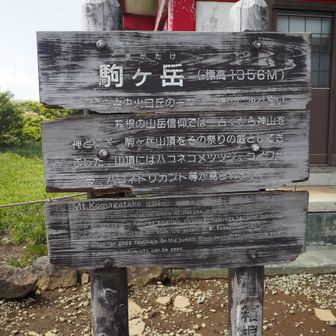 今度は下から登ってきてみたいものです。
