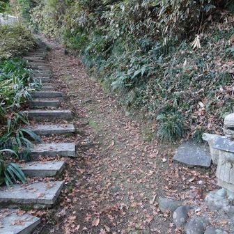 学習の森方向へ。