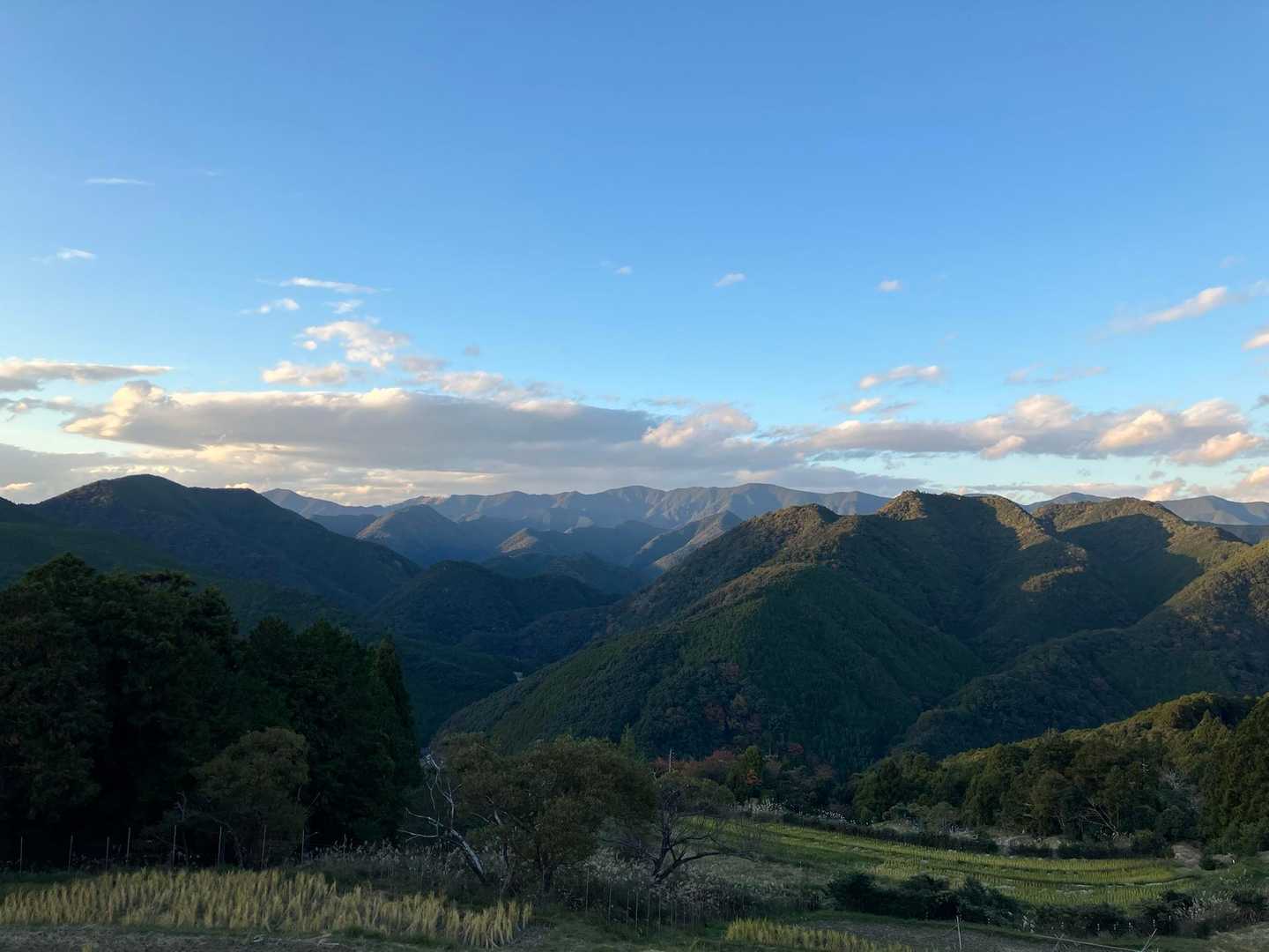 聖なる森で耳を澄ませる和歌山・熊野古道①コースの写真