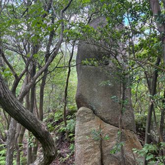 タムシバ山を越えて少し行ったところの岩🪨