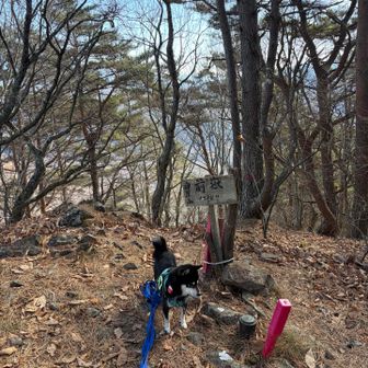 まずは守屋山の前獄ゲット