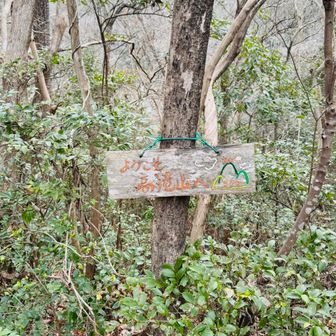 もうひと登り💦