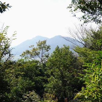 遠くに雪野山が見えます。最終の目的地！