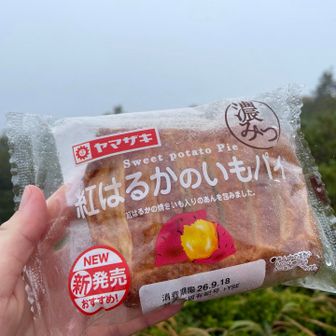 わたしの食事
