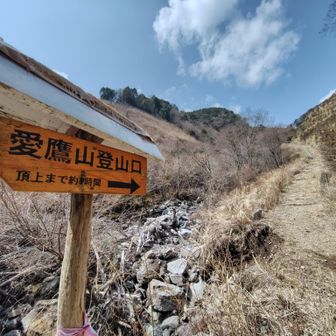 愛鷹山登山口に到着💡午前11時19分。ここからゴール近くまで林道上を歩くので歩きやすい↗️