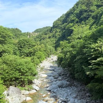 今日も暑かった〜
水遊びしたら気持ち良さそう！