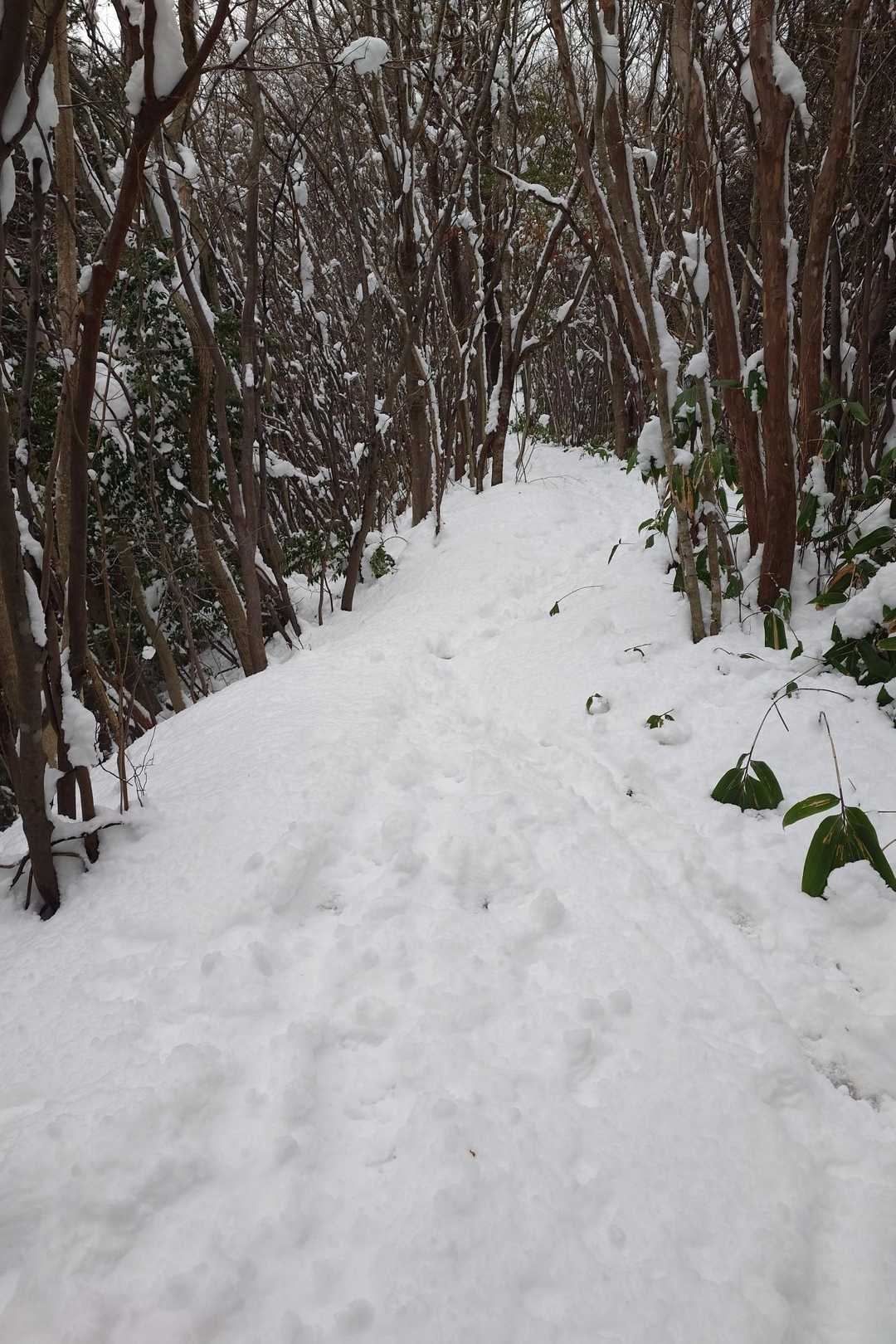 もっと雪があったら楽しめたのにね🥲