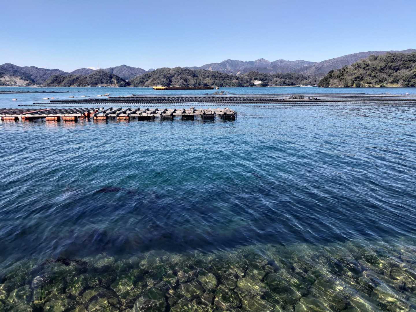 海沿を歩いて
