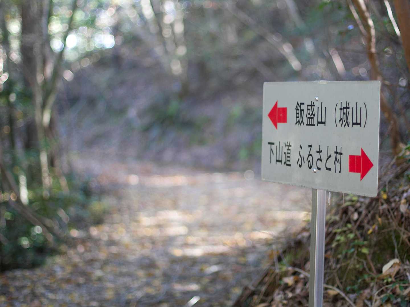 続いて飯盛山へ