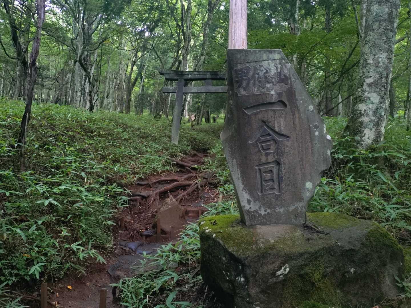 1合目からキツくて、ふくらはぎがヤバかった😂