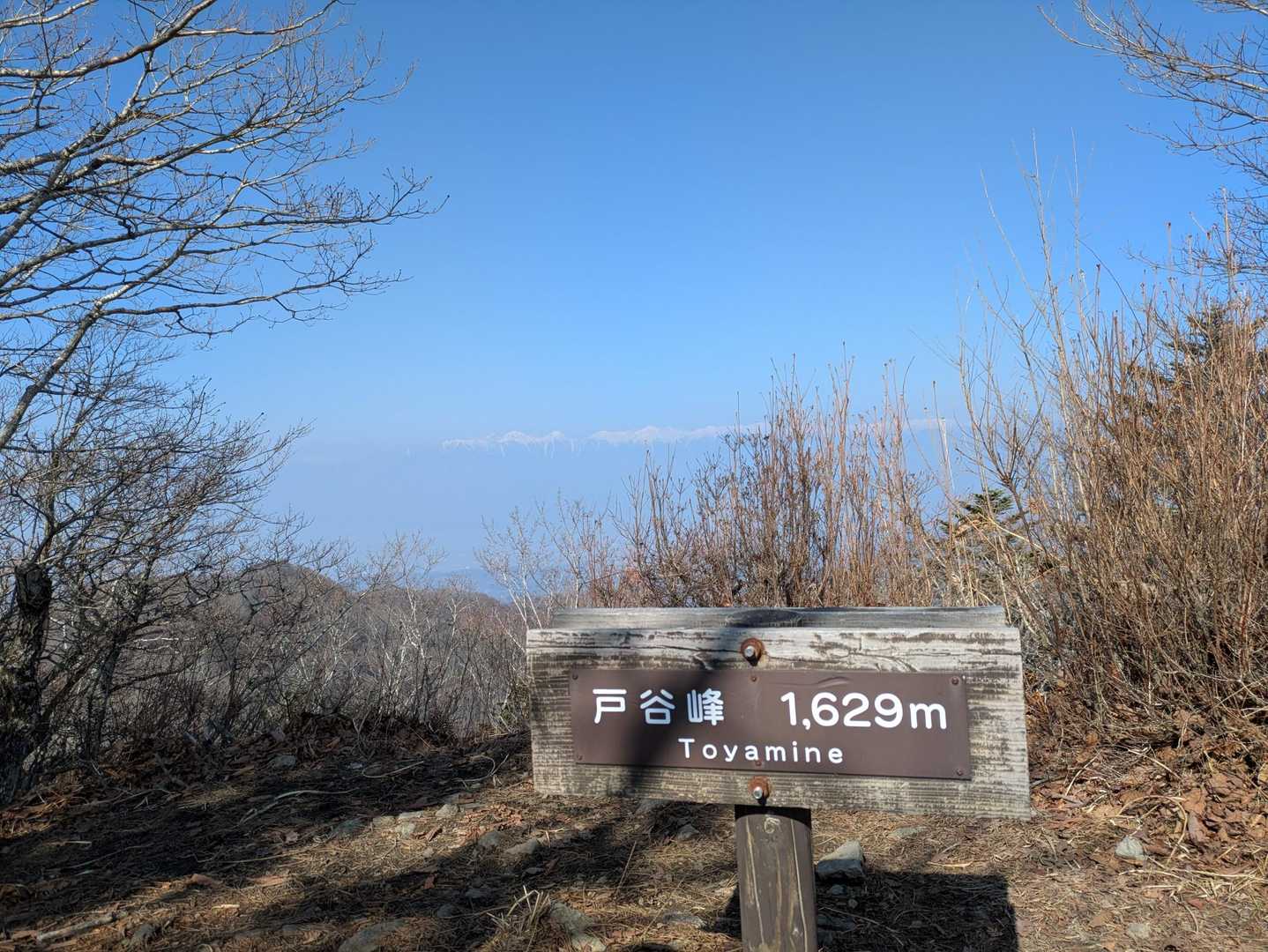 到着ー！