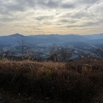 ちょっと雲が出てきて肌寒くなってきた