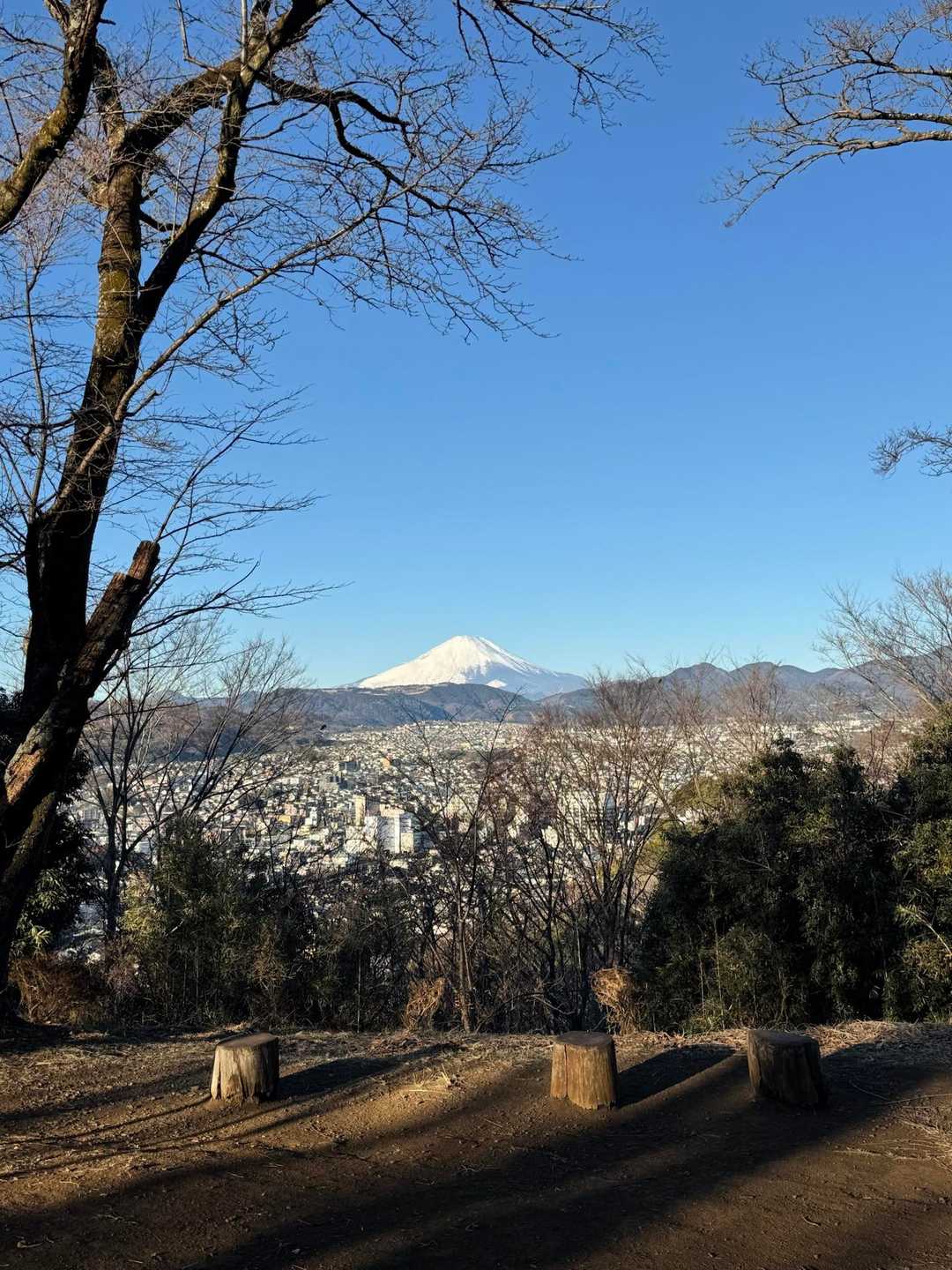 綺麗な富士山も見放題🤩