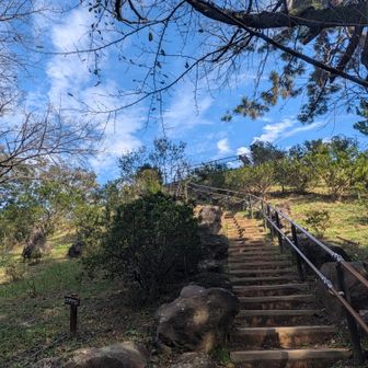 『箱根山』山頂