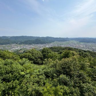 今高野山の対面からの甲山の街