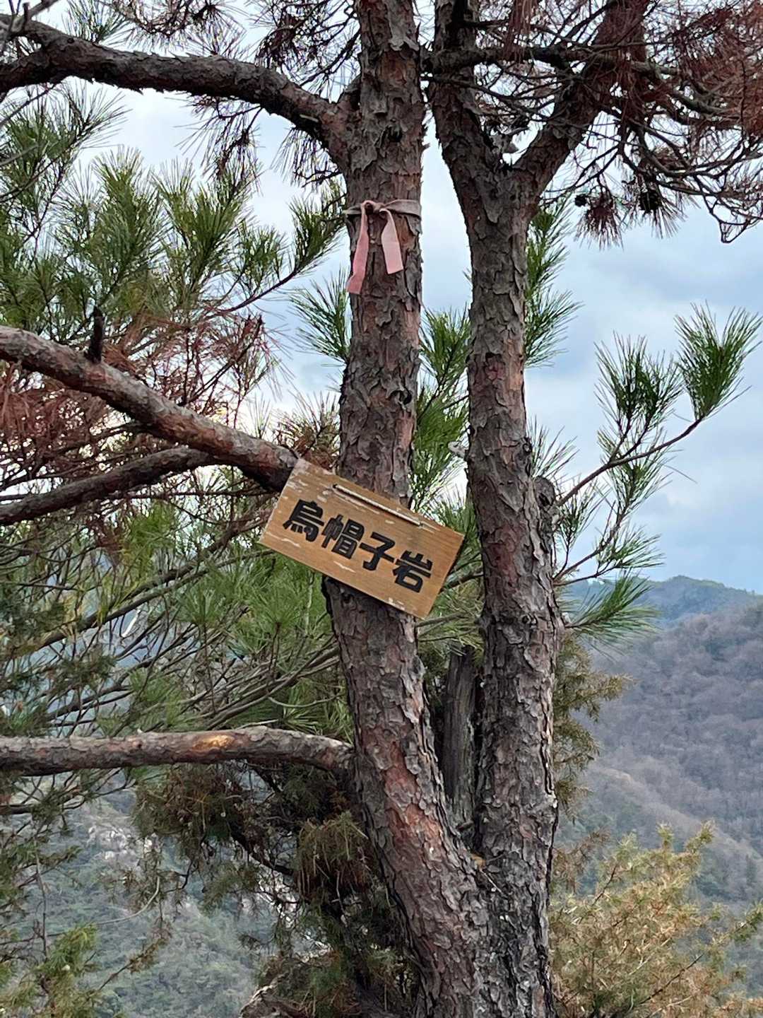 きぼう作業所前バス停-きぼう作業所登山口-P246-金銀山 周回コースの写真
