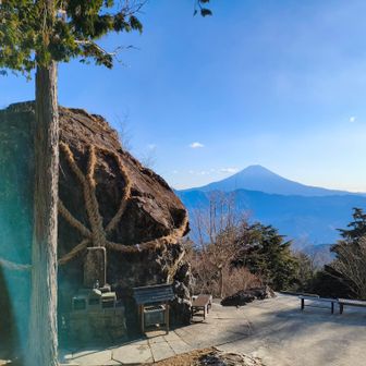 パワースポットです✨