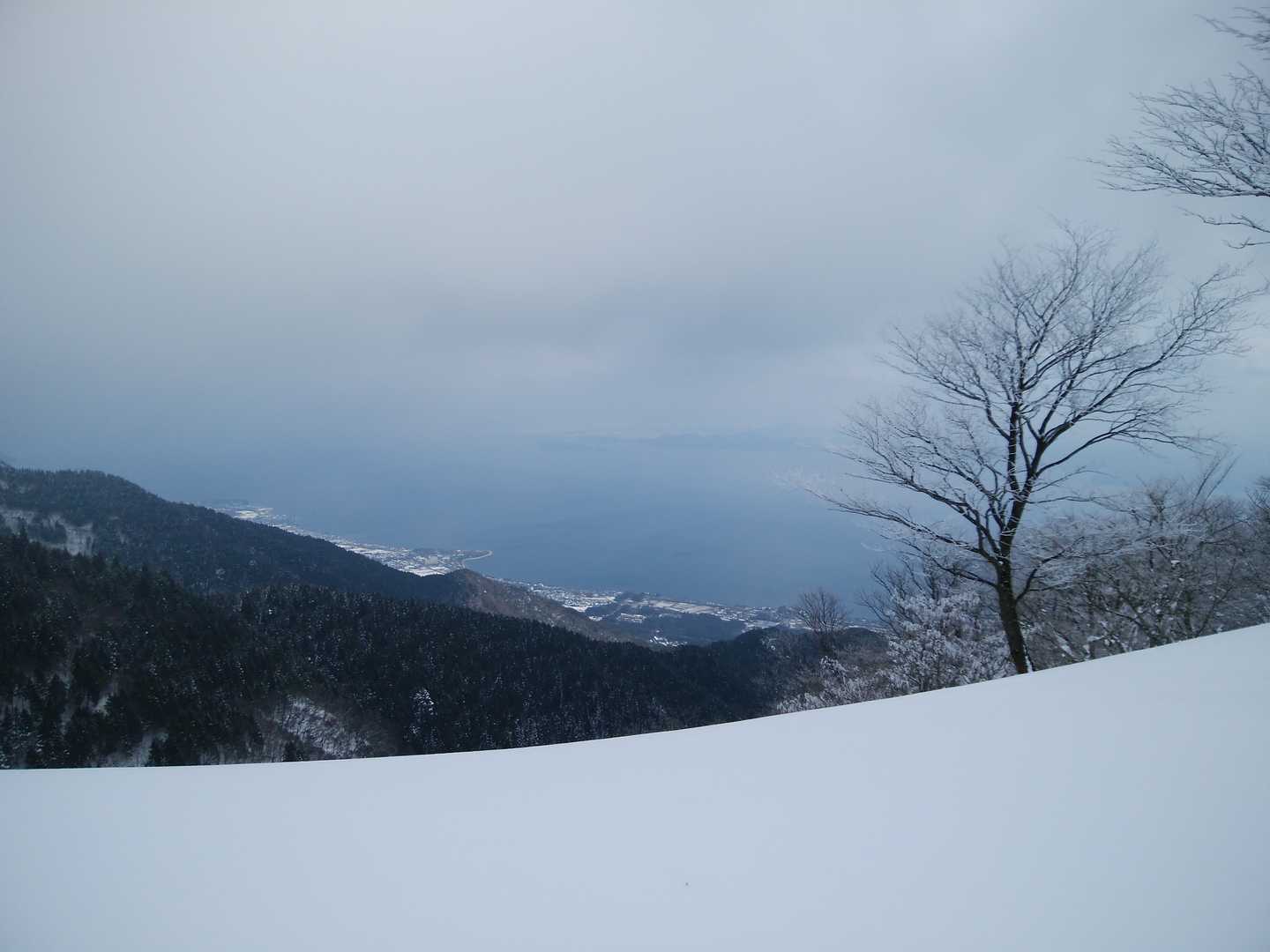 霊仙山権現山登山口-権現山-ホッケ山-小女郎峠 往復コースの写真