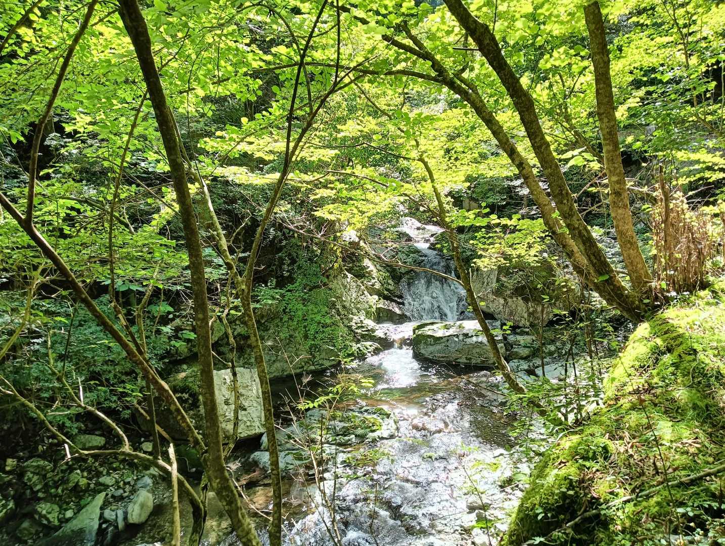 渓流のサウンドが素敵です