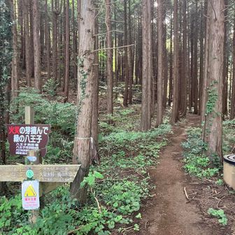 以前歩いた時に気になった分かれ道