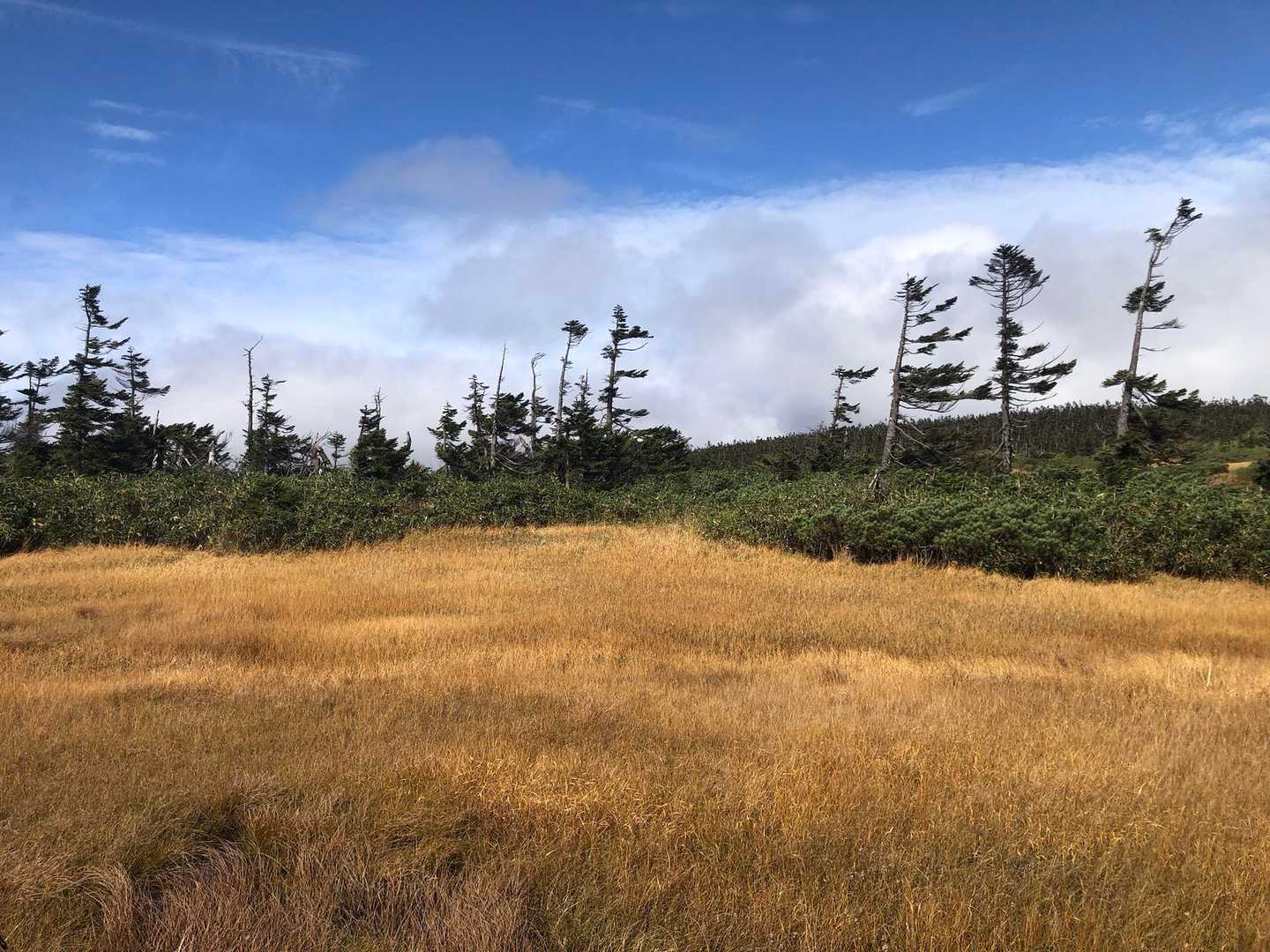 八幡平登山口-めがね沼-八幡平-源太森-見返峠 周回コースの写真