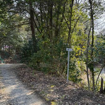 勘八山へ誘われる😆行っときましょうー！