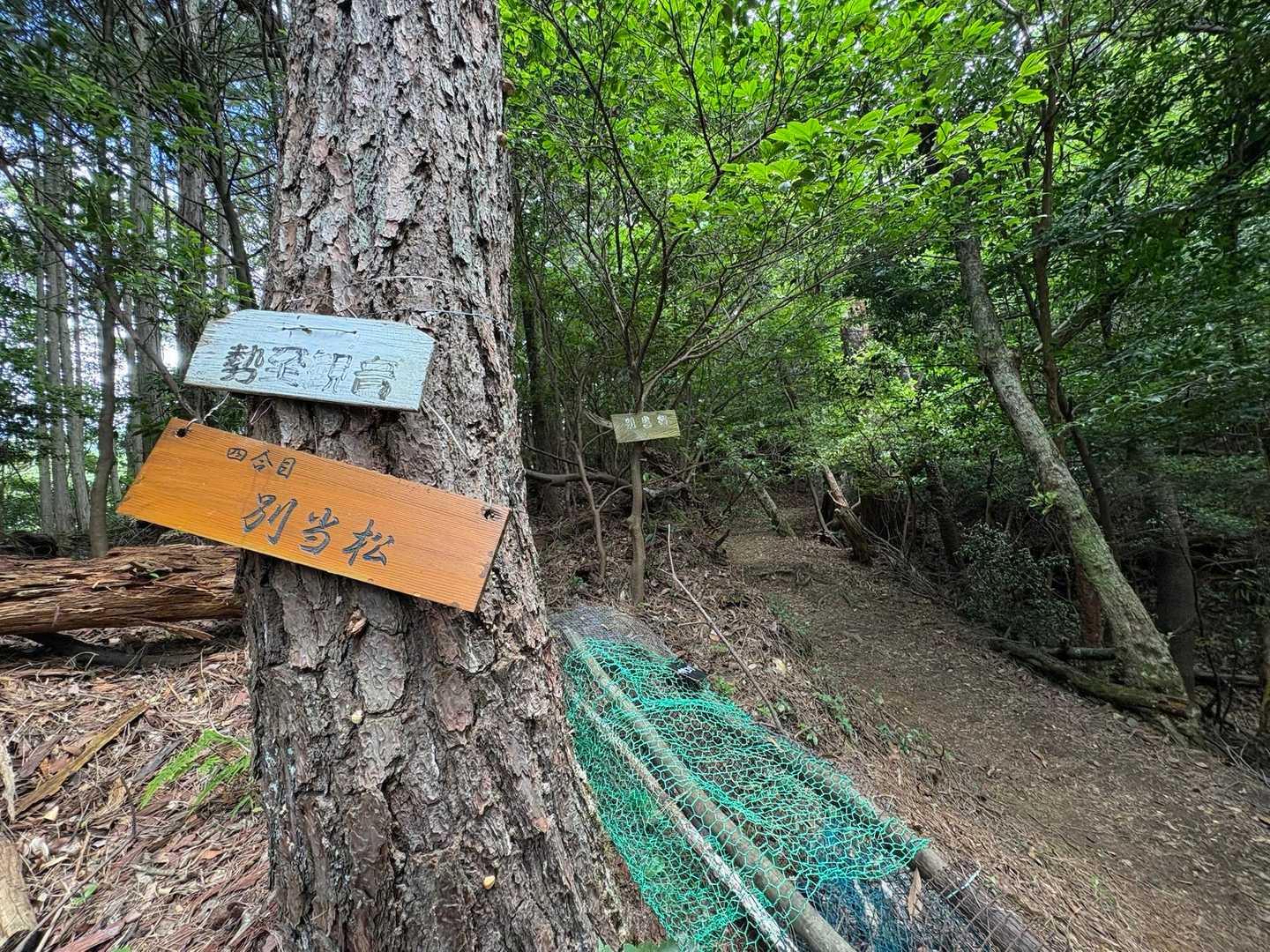 白木山登山口-白木山 往復コースの写真