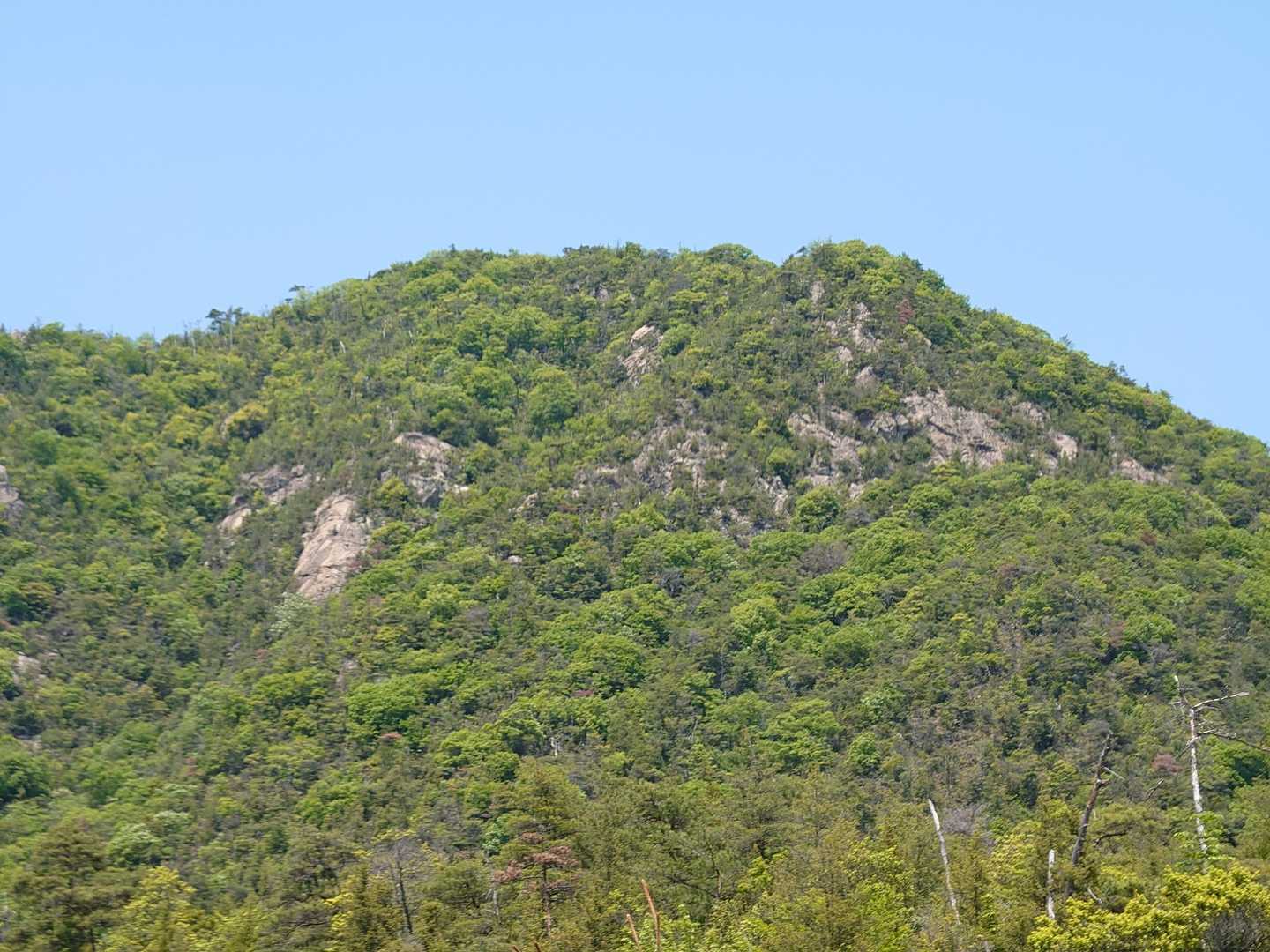 本当に新しいルートを整備し、尽力された方々に感謝申し上げます。_(._.)_
沢山の人に登ってもらいたいですね(^o^)