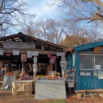 城山茶屋まで戻りました