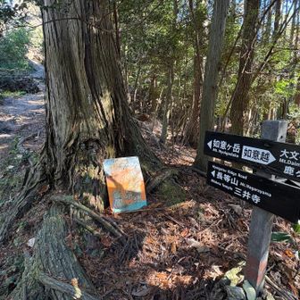 んー。ちーと遠いw😑