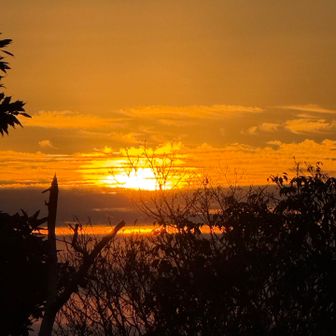 静かに日が昇るのを待ちます