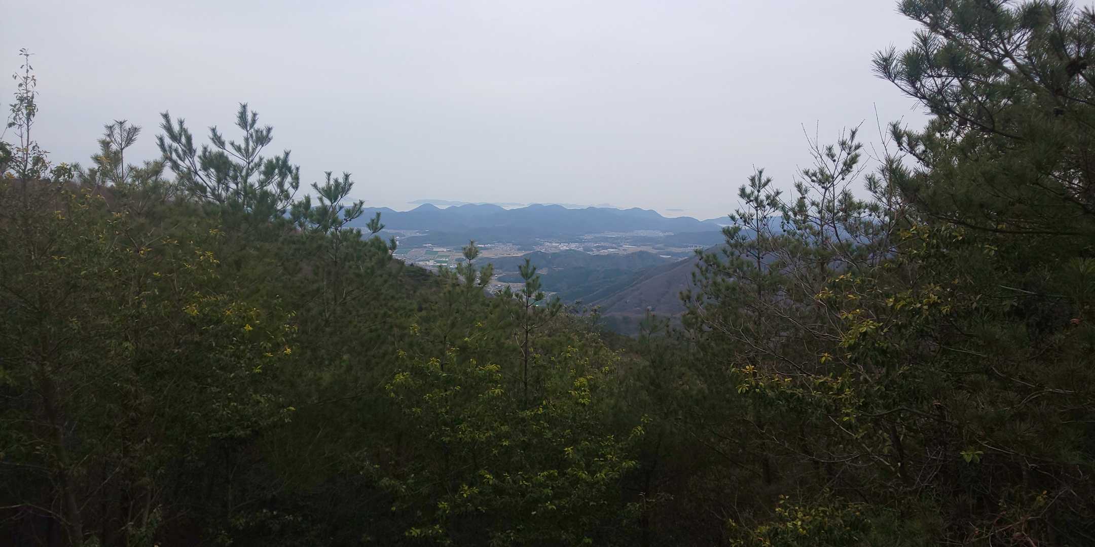 大倉山 周回コースの写真